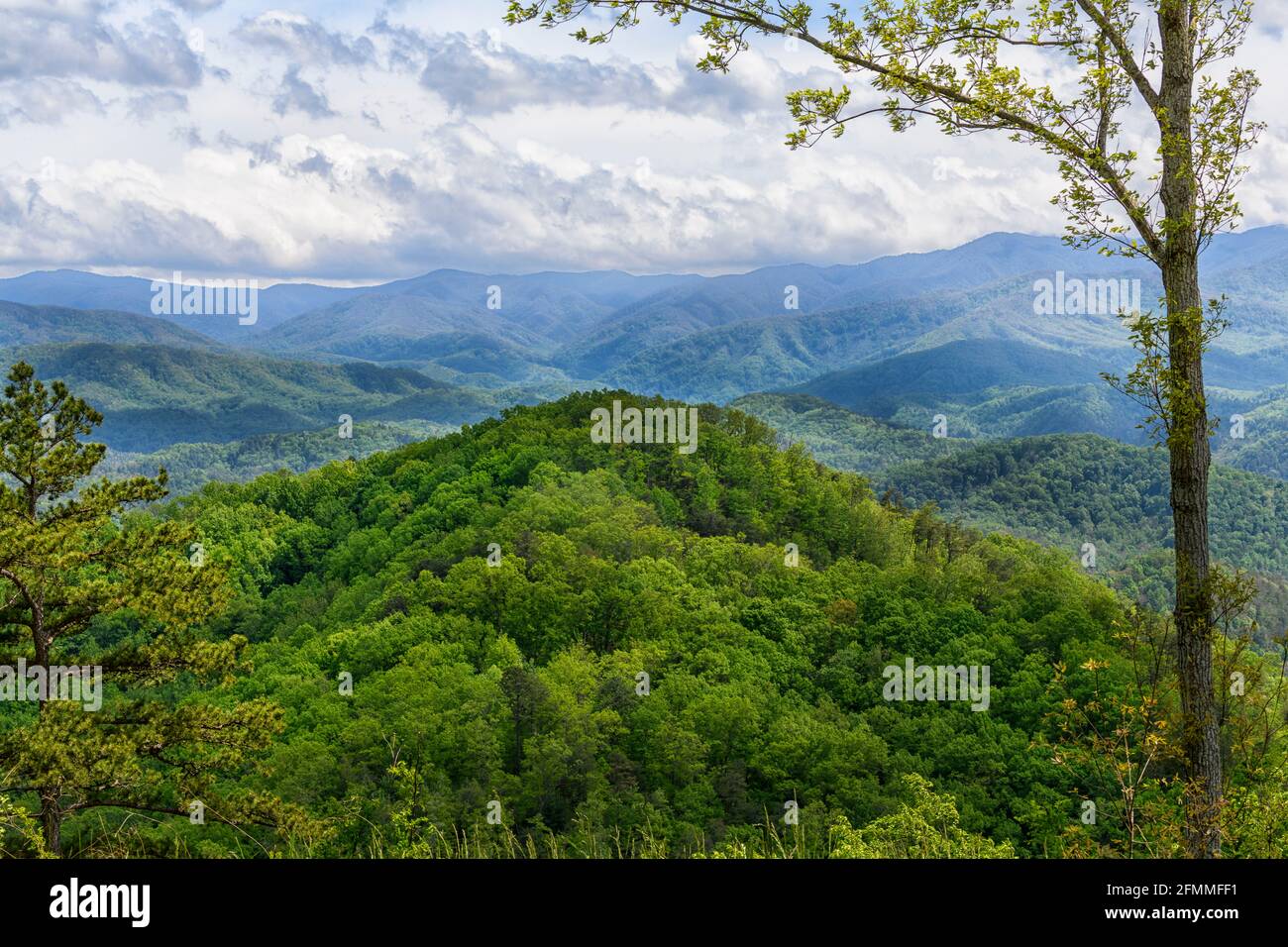 Clouds moving thorugh Newfound Gap, Tennessee Stock Photo