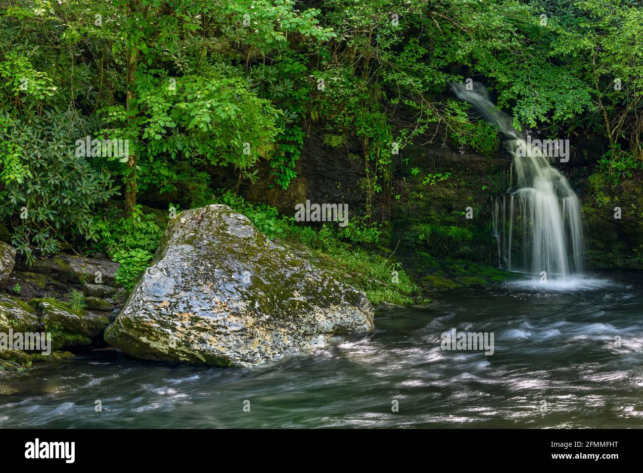Spring waterfall along Little River Road, Great Smoky Mountains National Park, Tennessee Stock Photo