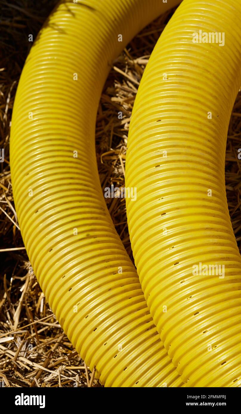 Close up picture of perforated yellow land drainage pipe, it is used to remove excessive ground water from fields and gardens, selective focus. Stock Photo