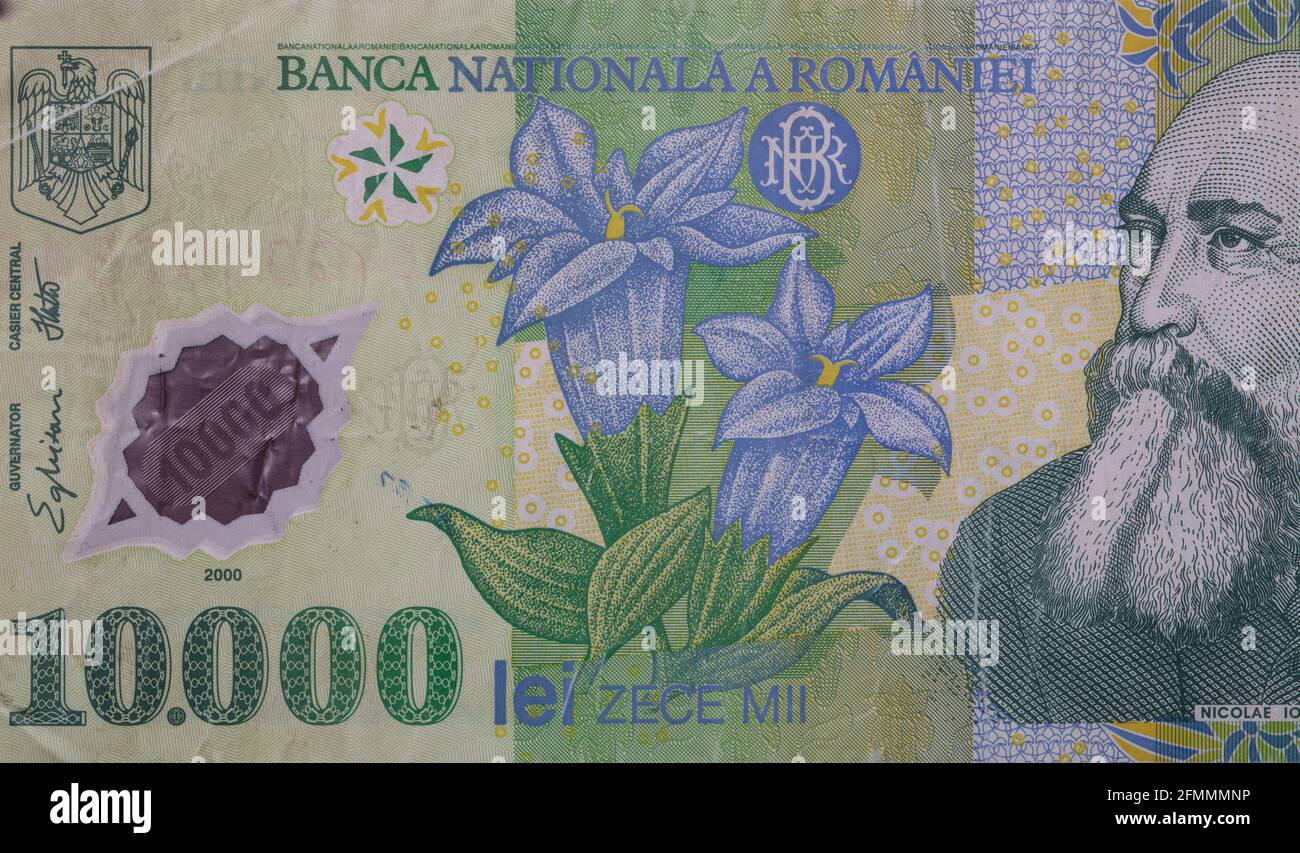 Fragment Of 10000 Romanian Lei Banknote 1999 Series Polymer For fragment-of-10000-romanian-lei-banknote-1999-series-polymer-for