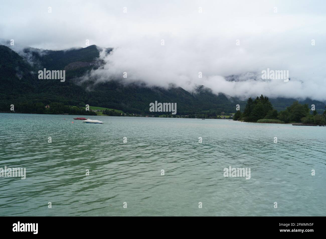 Mesmerizing scenery of lake and the forest in fog Stock Photo - Alamy
