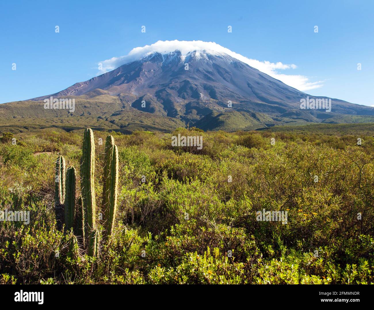 Misti hi-res stock photography and images - Alamy