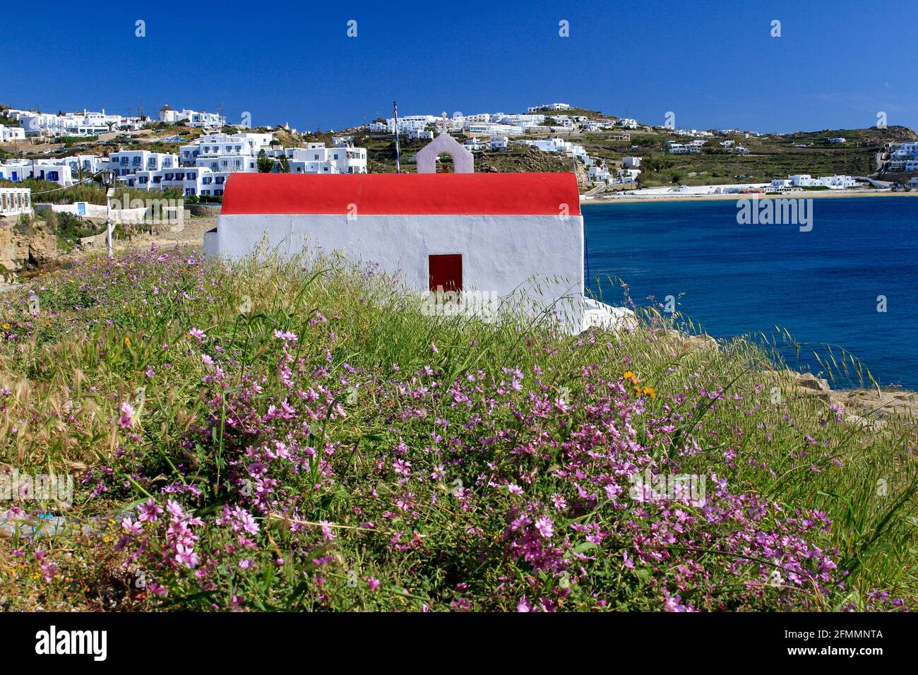 Small white church with red roof and wildflowers by sea, Mykonos, Greece Stock Photo