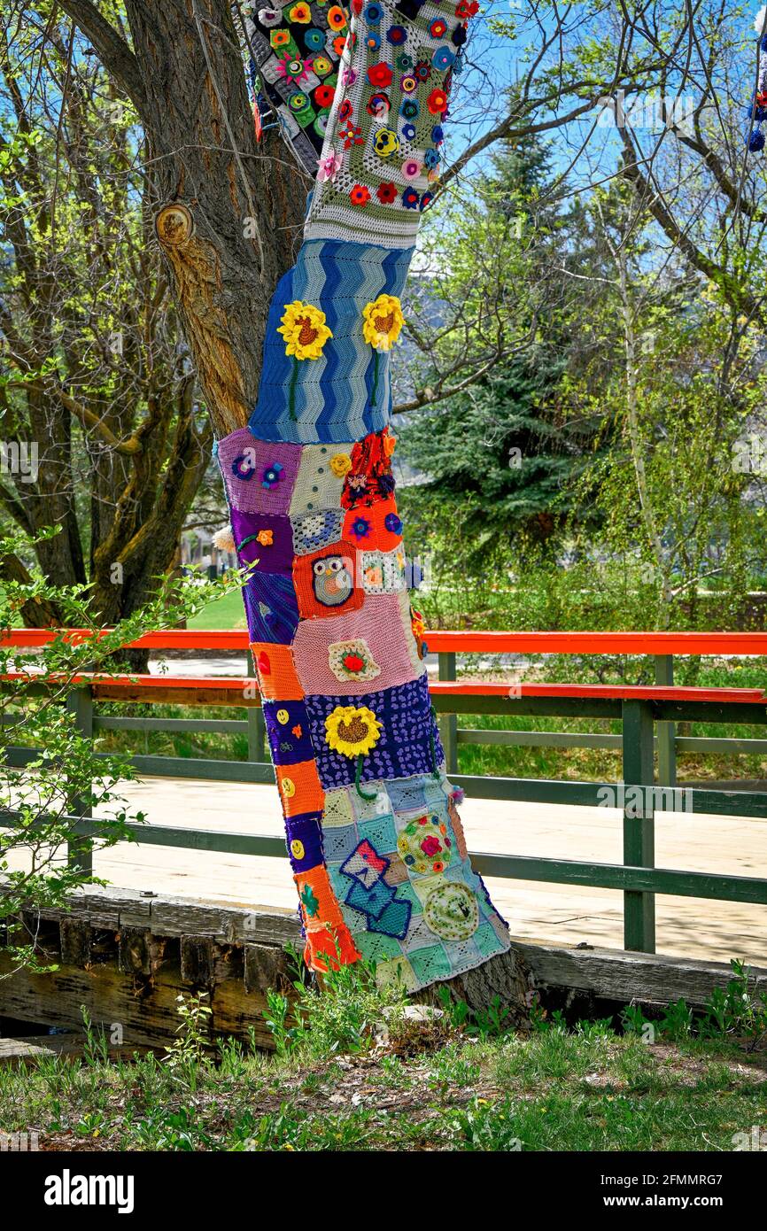 Crochet, knitting, yarn bombed tree, Penticton Art Gallery, British  Columbia, Canada Stock Photo - Alamy