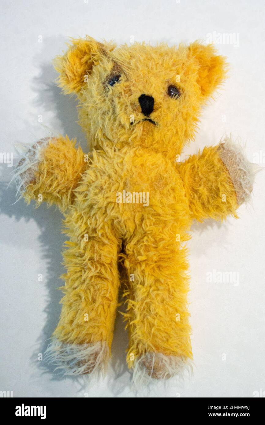 Old yellow teddy bear drying after bath. 1970s toy bear. Stock Photo