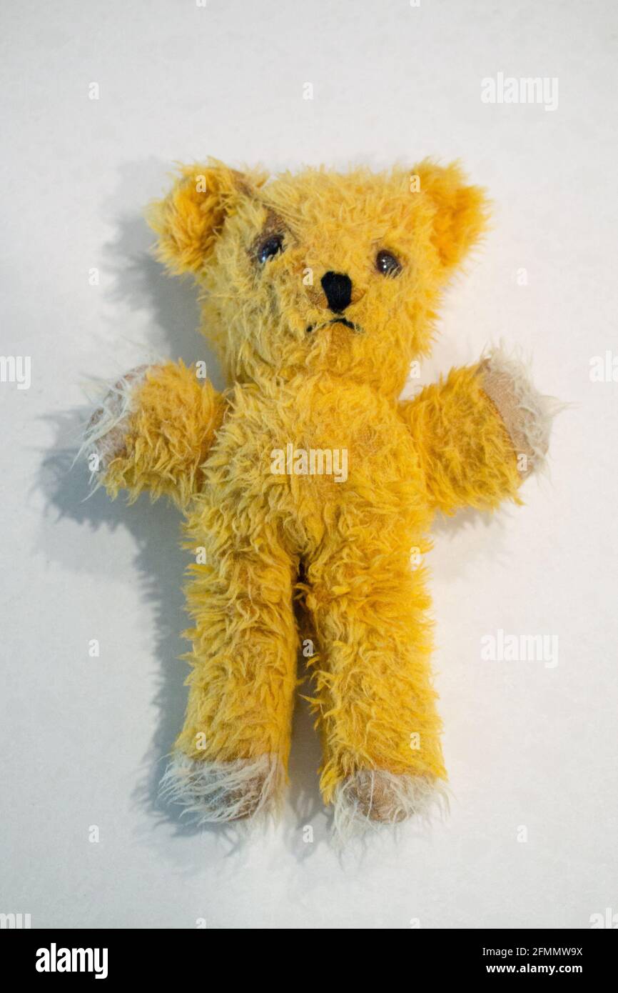 Old yellow teddy bear drying after bath. 1970s toy bear Stock Photo - Alamy