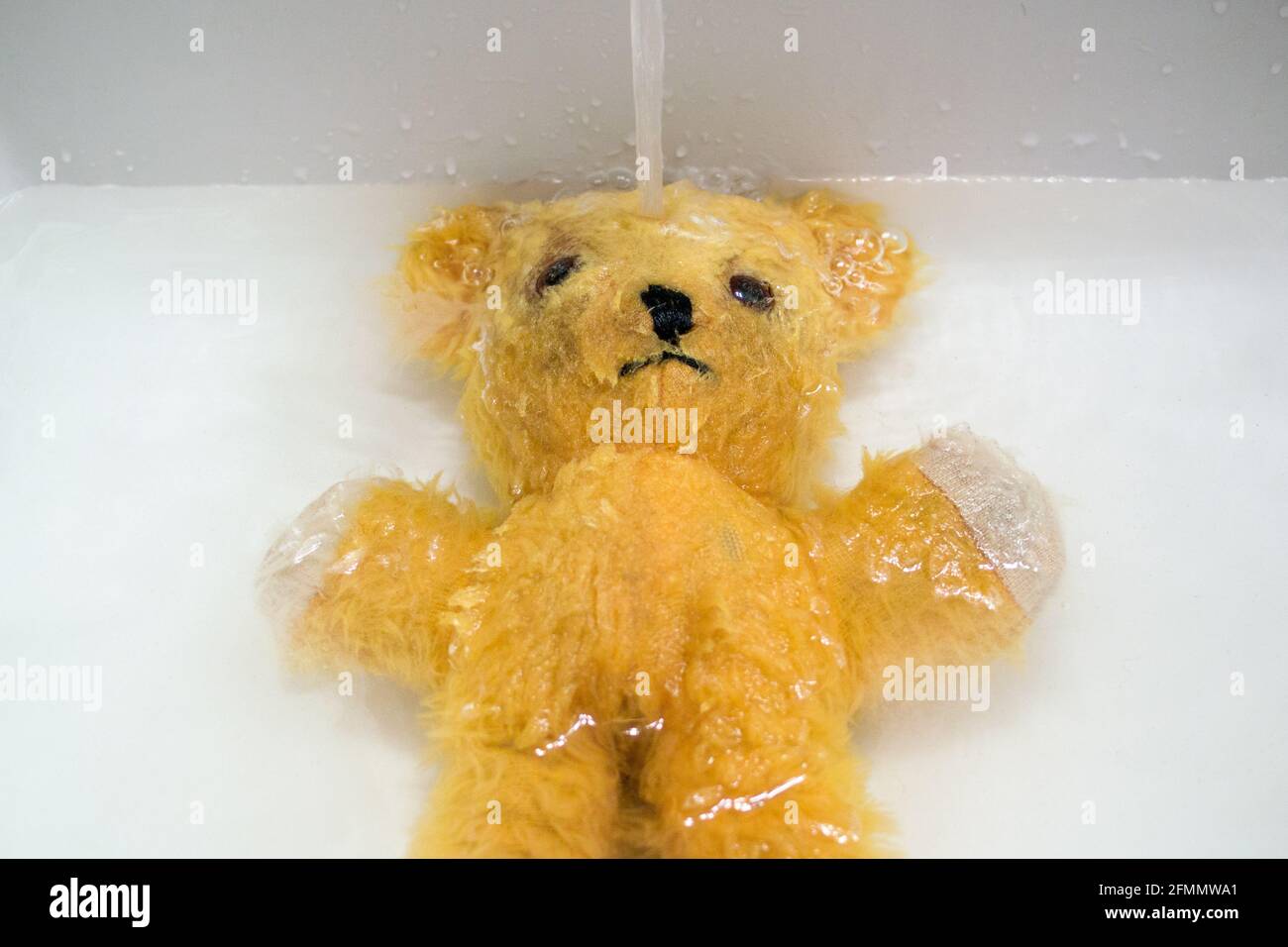 Yellow teddy bear taking a bath, lying on back, with fresh water