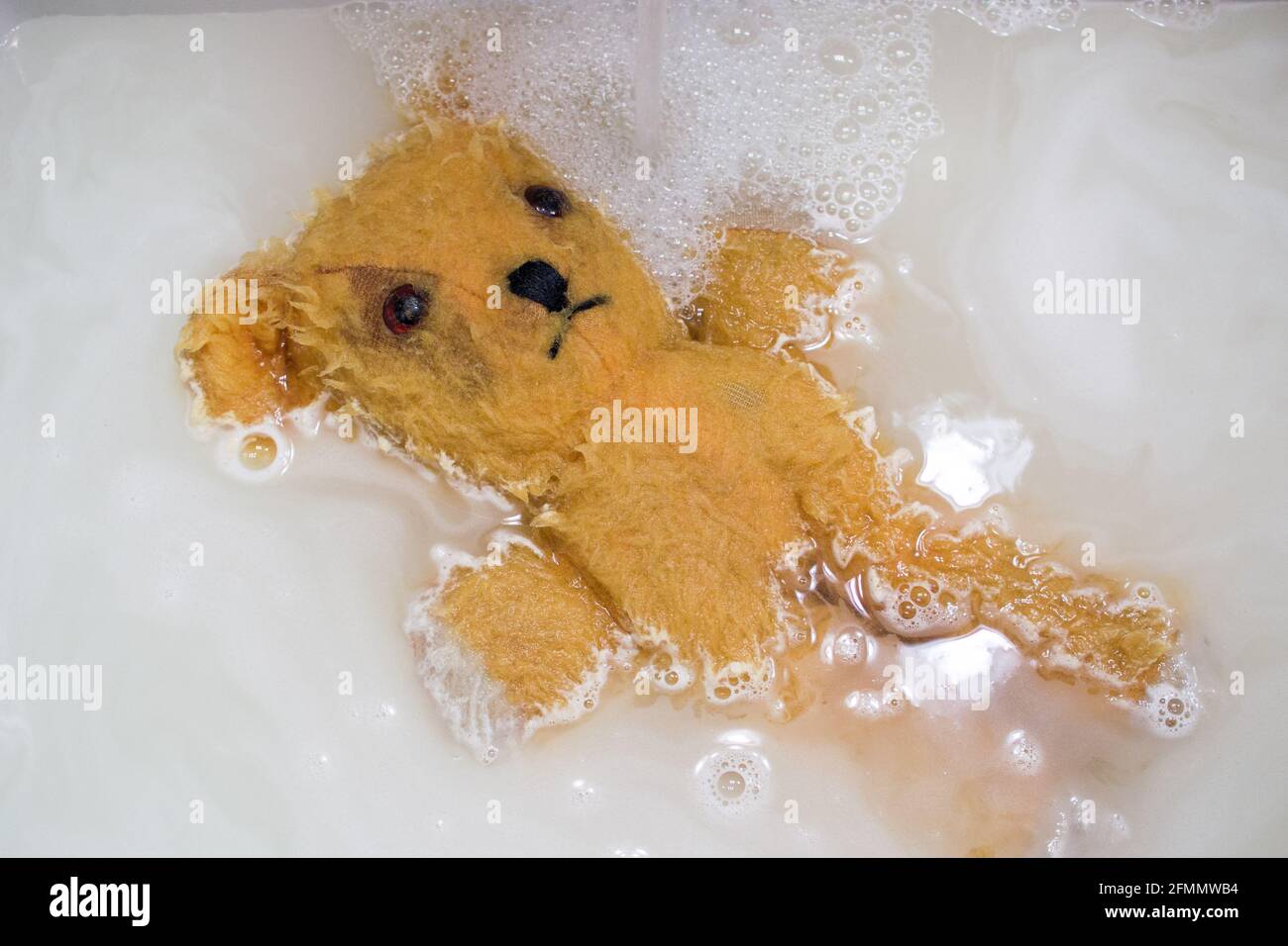 Much loved, 40-year-old teddy bear, lying on back, partially submerged in soapy water with suds Stock Photo
