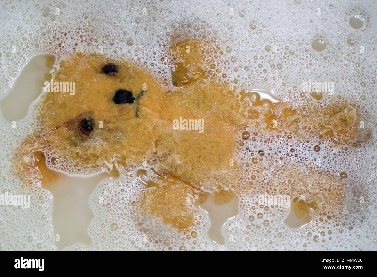 Much loved, yellow teddy bear floating on his back surrounded by soap