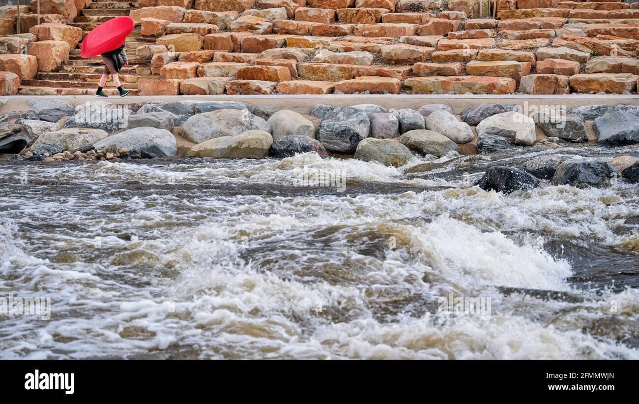kayaker is carrying his kayak upstream in the Poudre River Whitewater