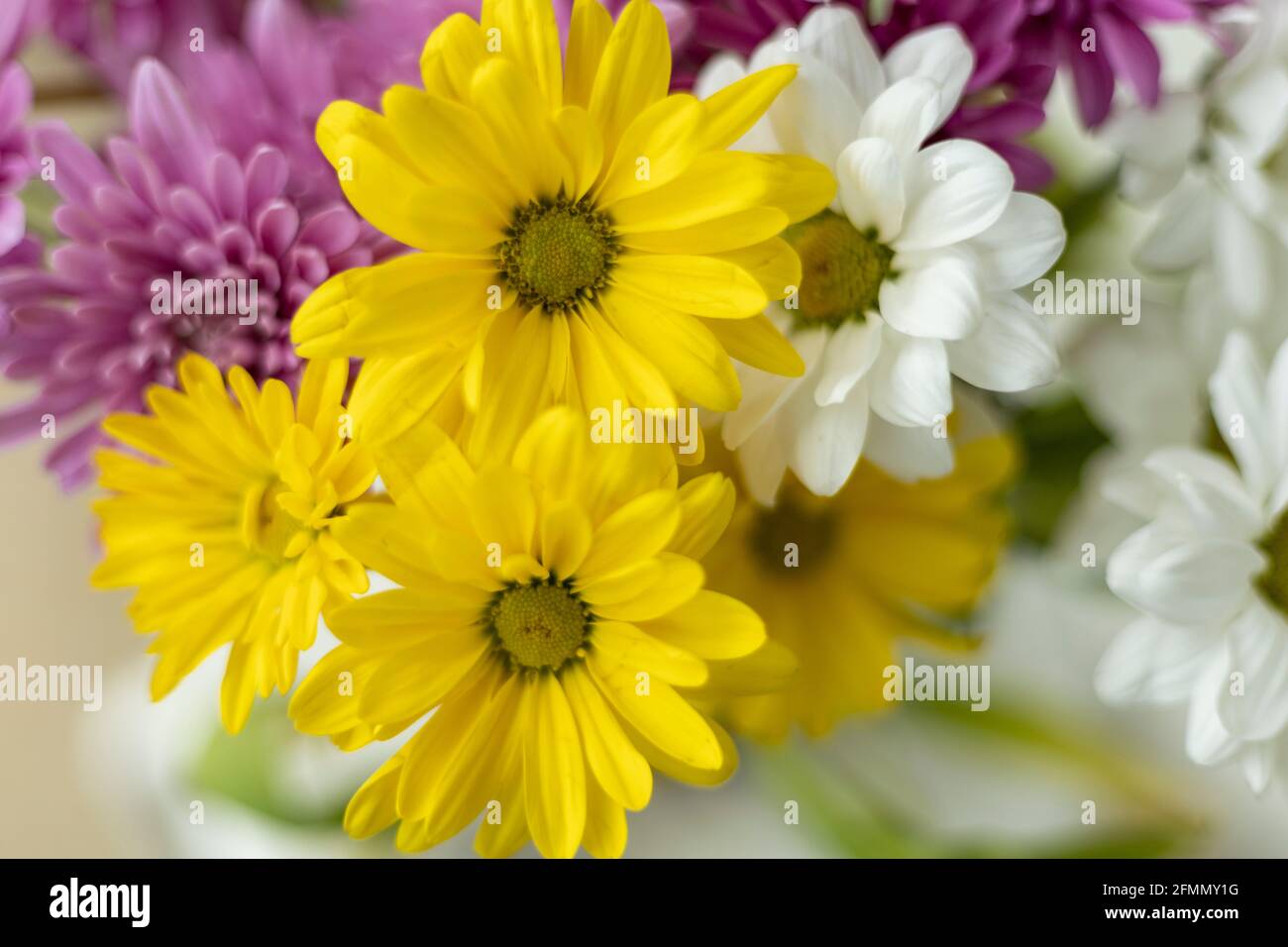 Chrysanthemum bouquet hires stock photography and images Alamy