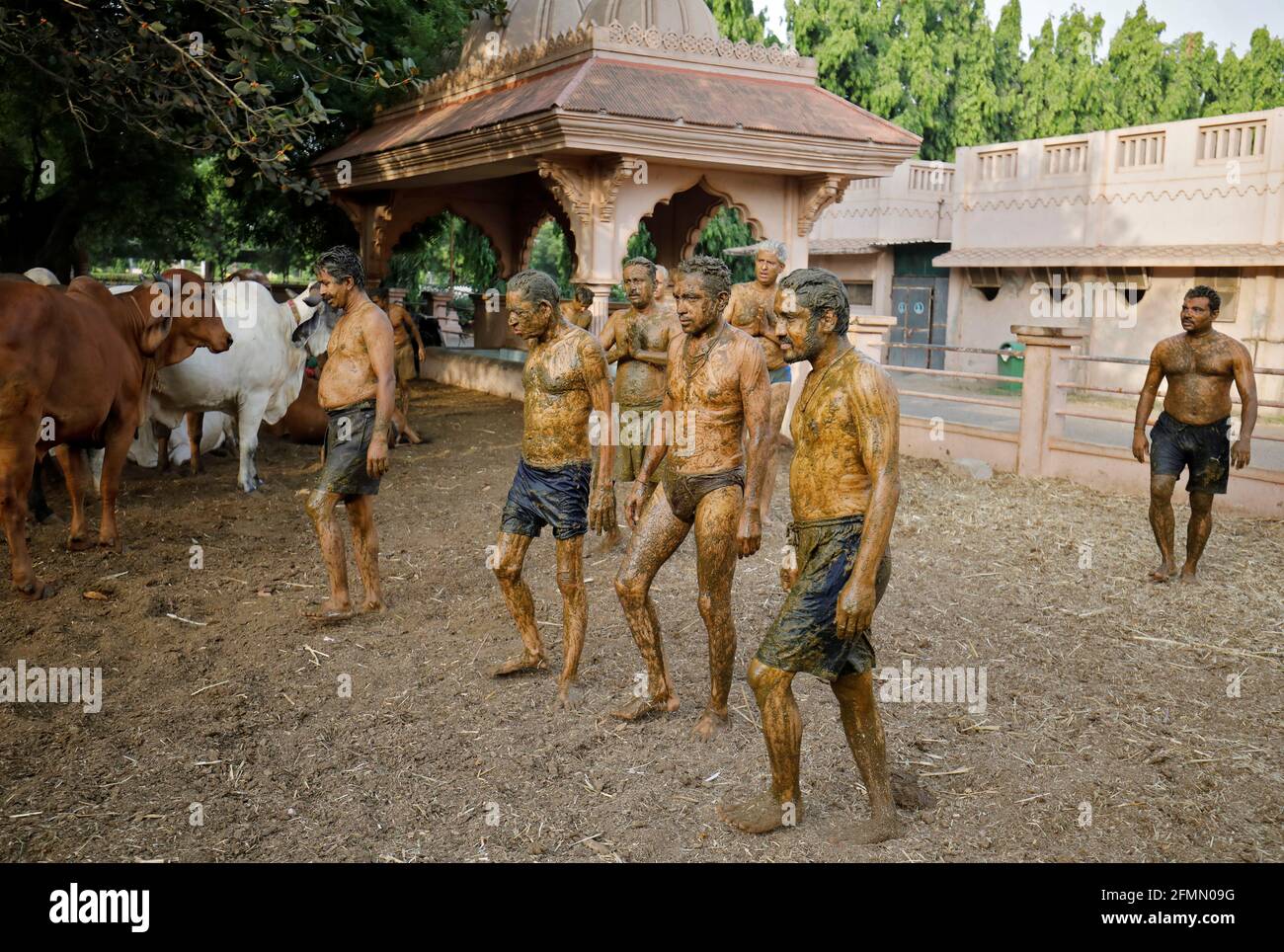 Applying cow dung hi-res stock photography and images - Alamy