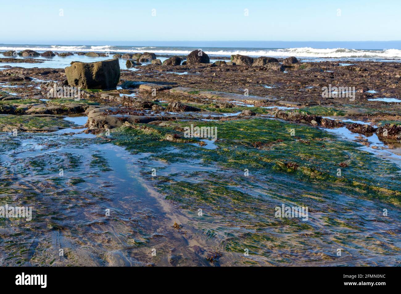 large rock formations at bowling ball beach california Stock Photo Alamy