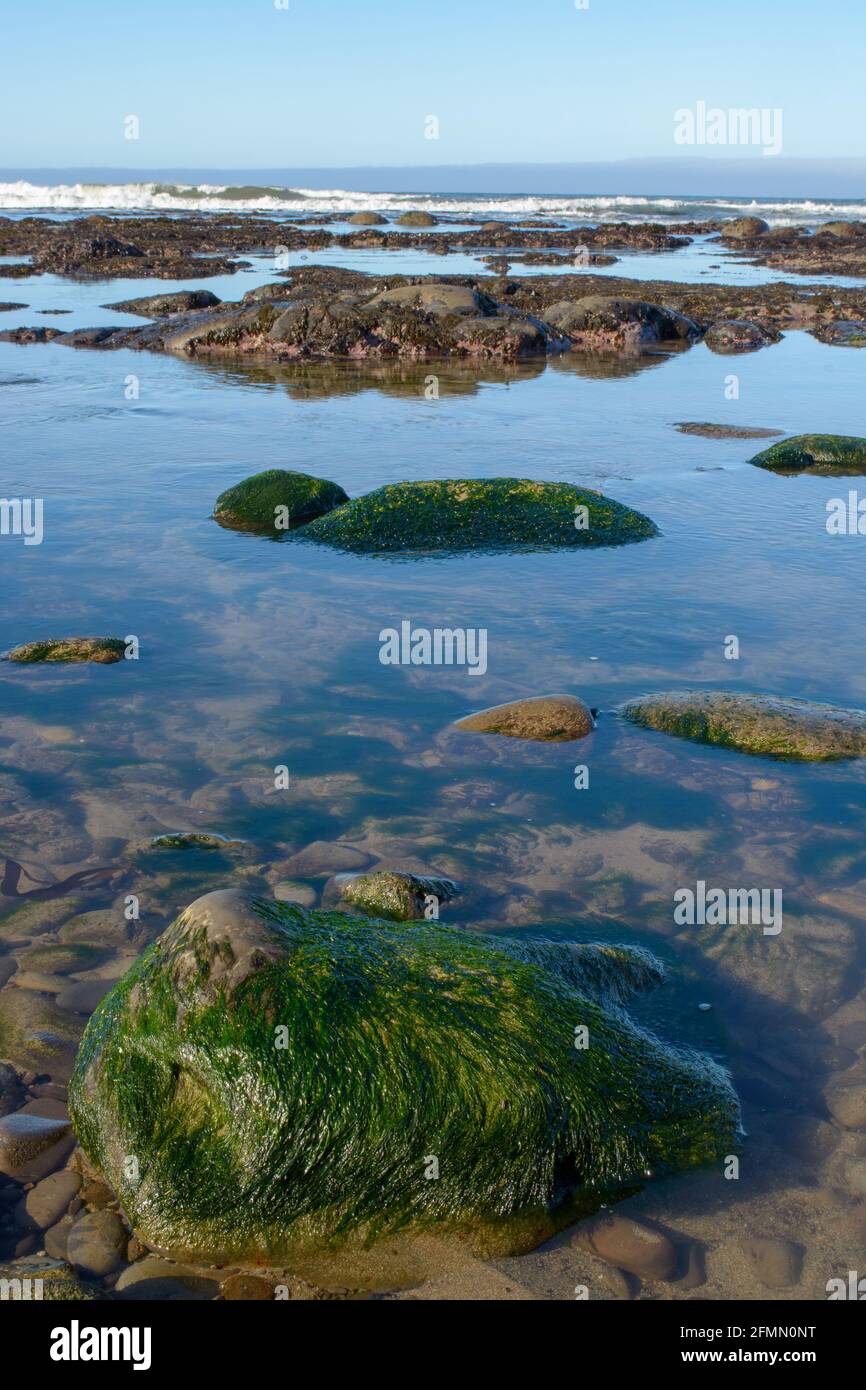 large rock formations at bowling ball beach california Stock Photo Alamy