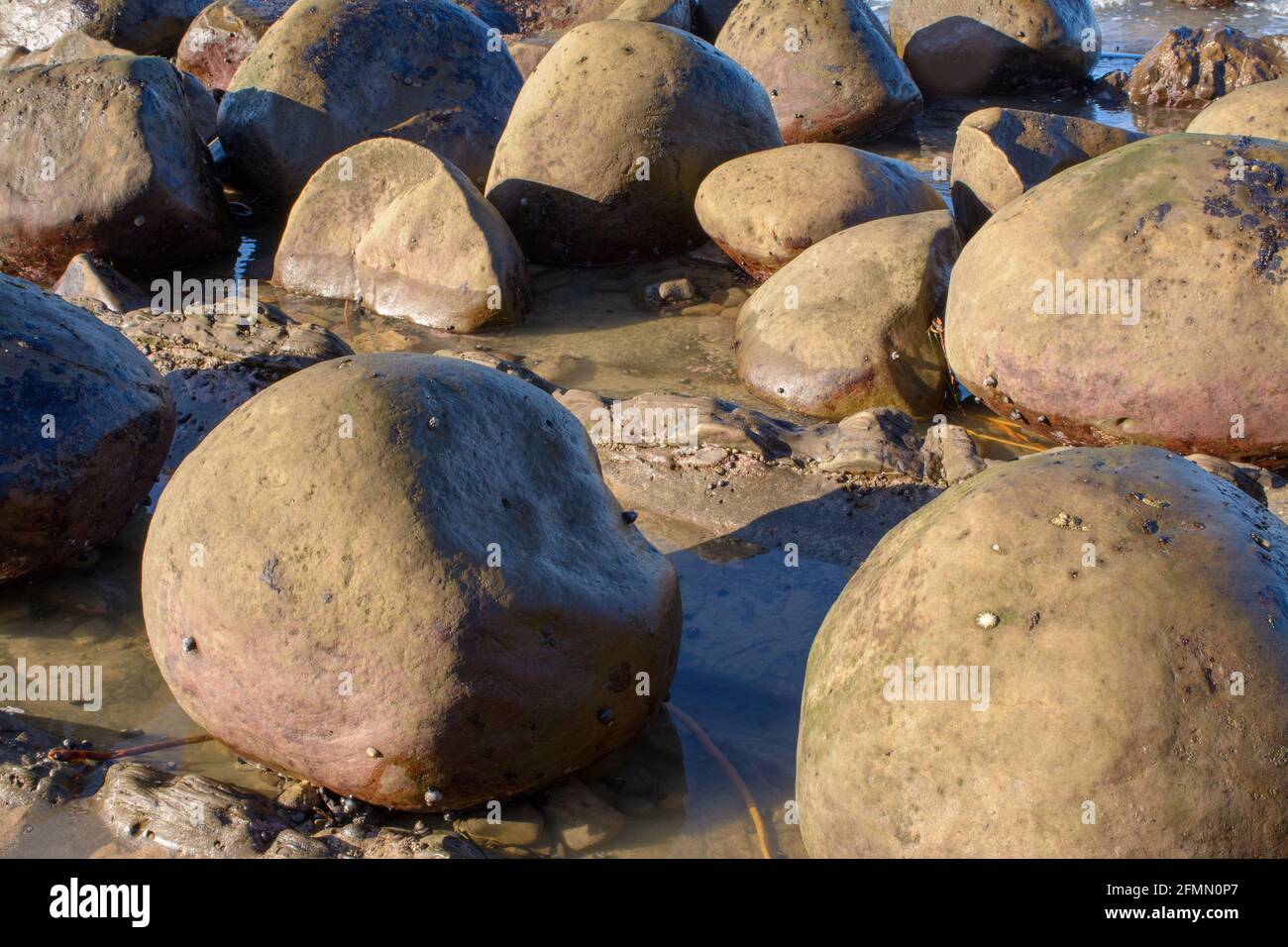 large rock formations at bowling ball beach california Stock Photo Alamy