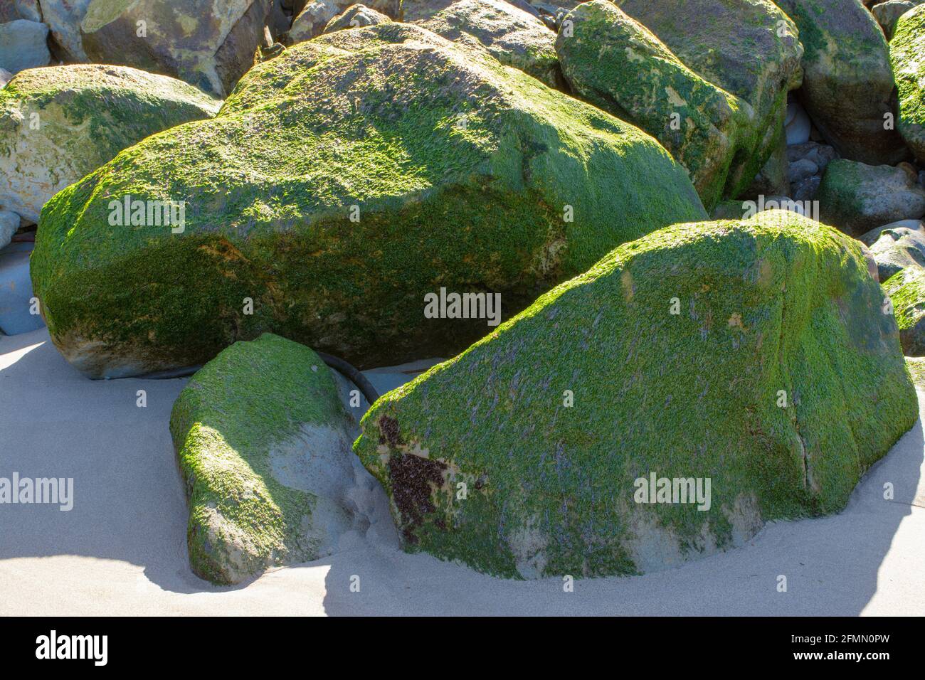 large rock formations at bowling ball beach california Stock Photo Alamy