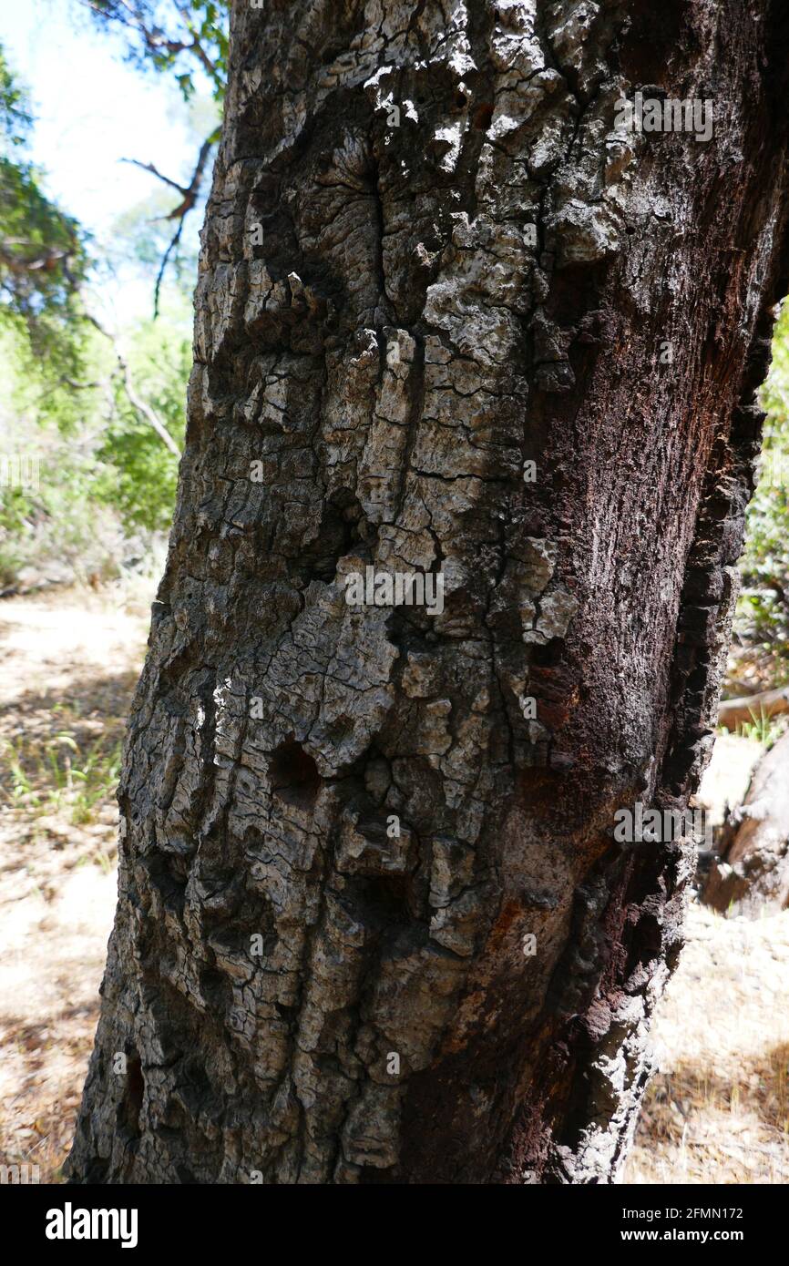 Manson family ranch hires stock photography and images Alamy
