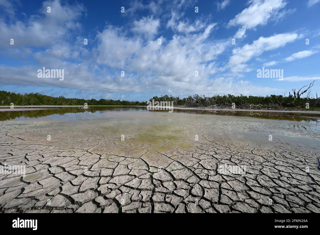 Mud shallows hi-res stock photography and images - Alamy