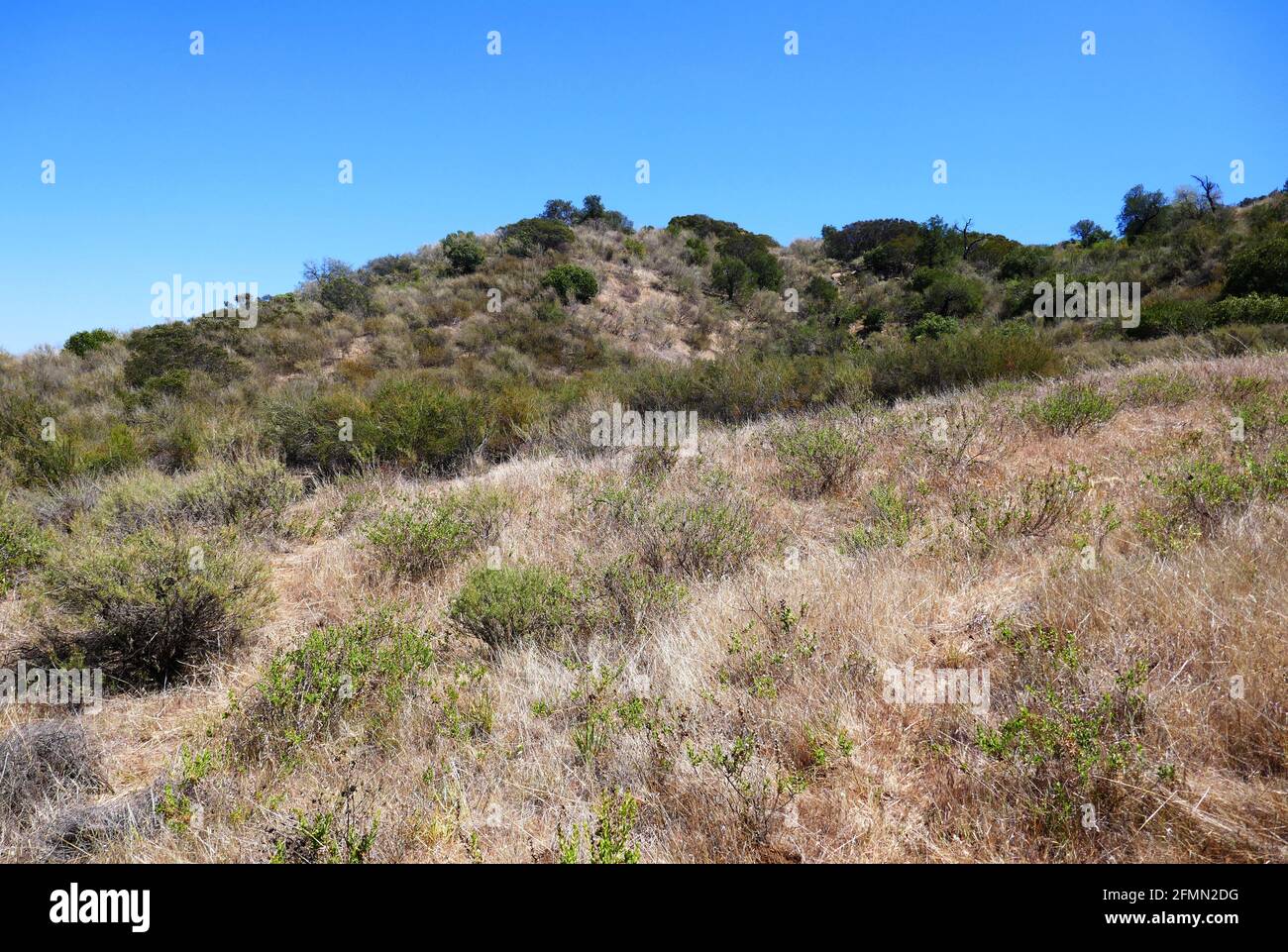 Spawn Ranch Top View Chatsworth, California USA 3rd May 2021 A general view of atmosphere of ...