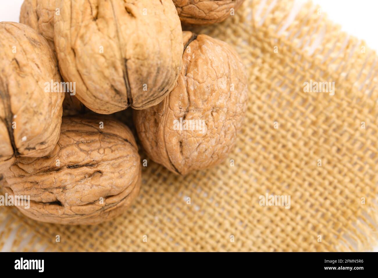 Walnut isolated on a white background. Stock Photo