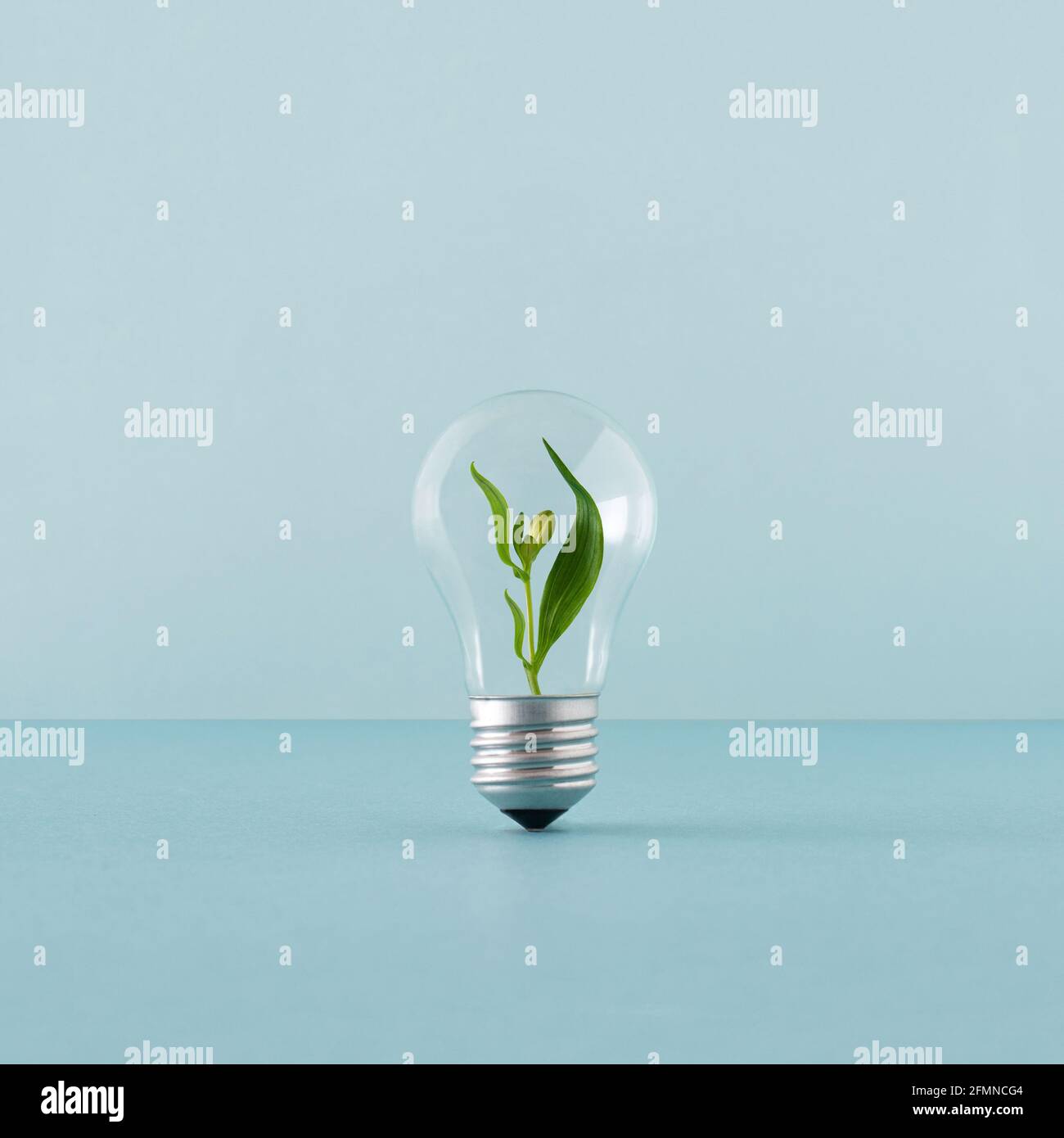 Creative layout with a plant growing inside the light bulb. Green eco energy concept. Stock Photo