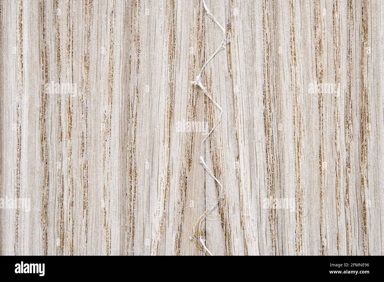 Oak texture as background. Spliced oak veneer with glue thread for furniture manufacturing closeup Stock Photo