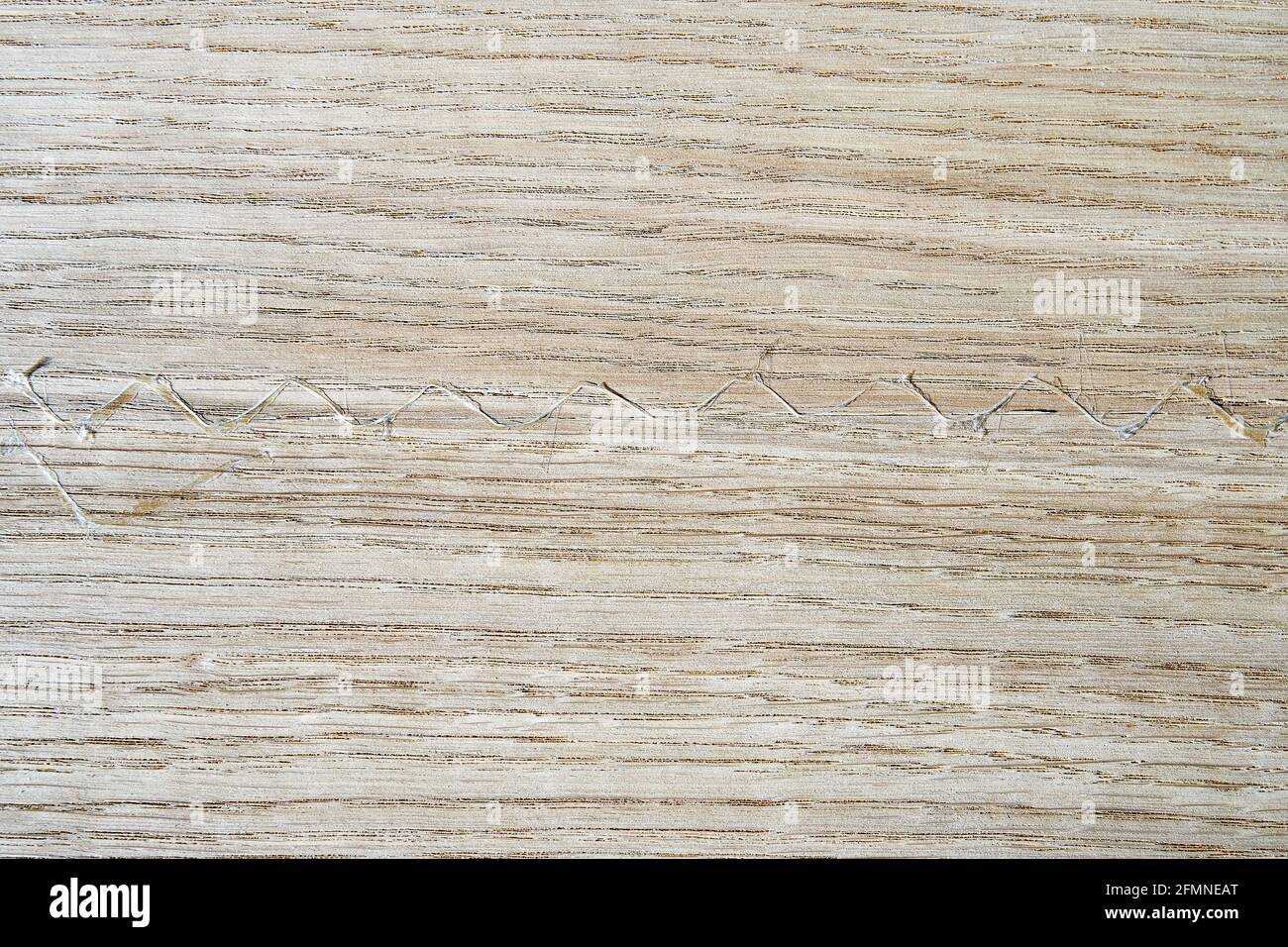 Oak texture as background. Spliced oak veneer with glue thread for furniture manufacturing closeup Stock Photo