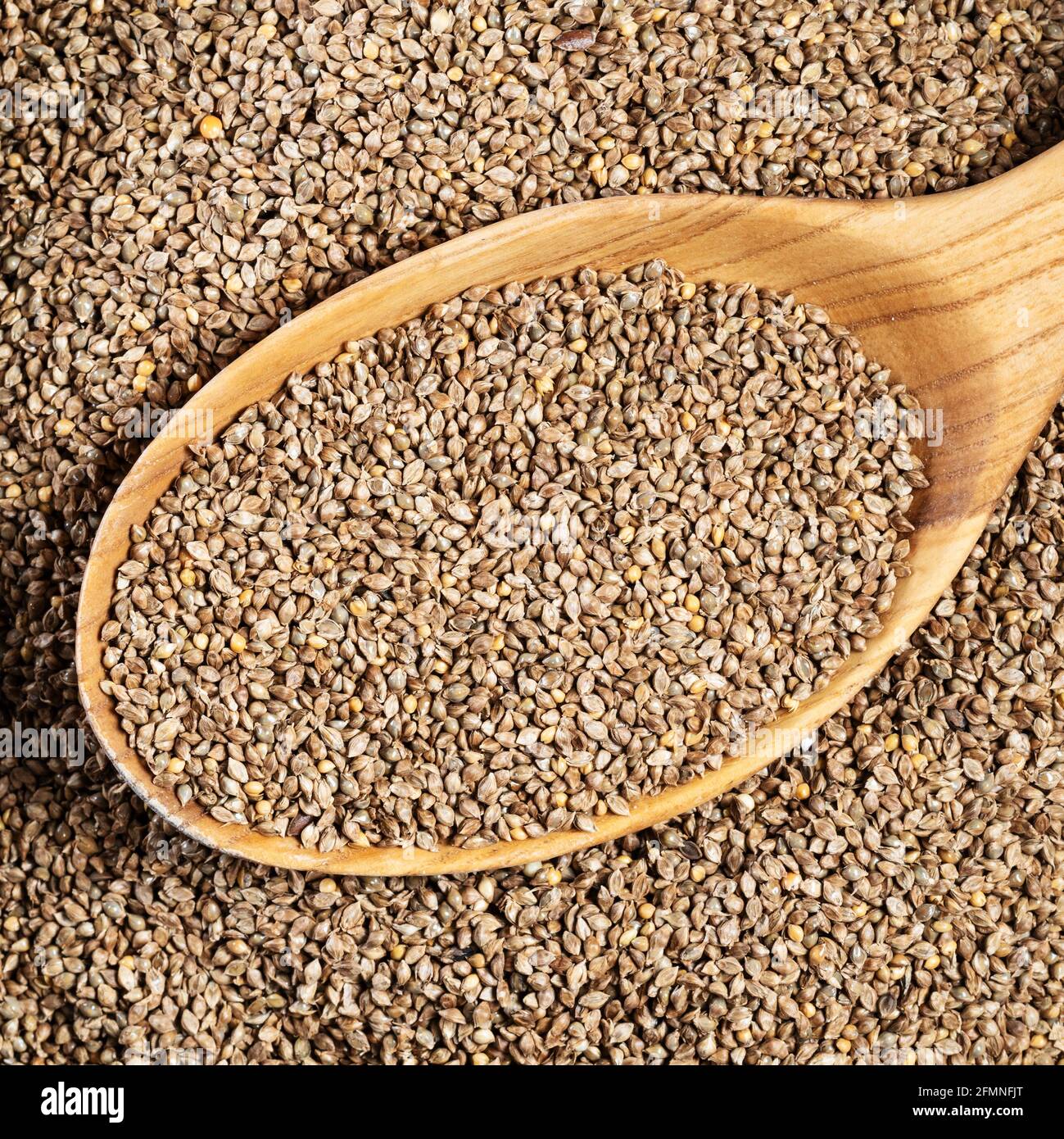 top view of unhulled barnyard millet seeds in wood spoon closeup Stock Photo Alamy