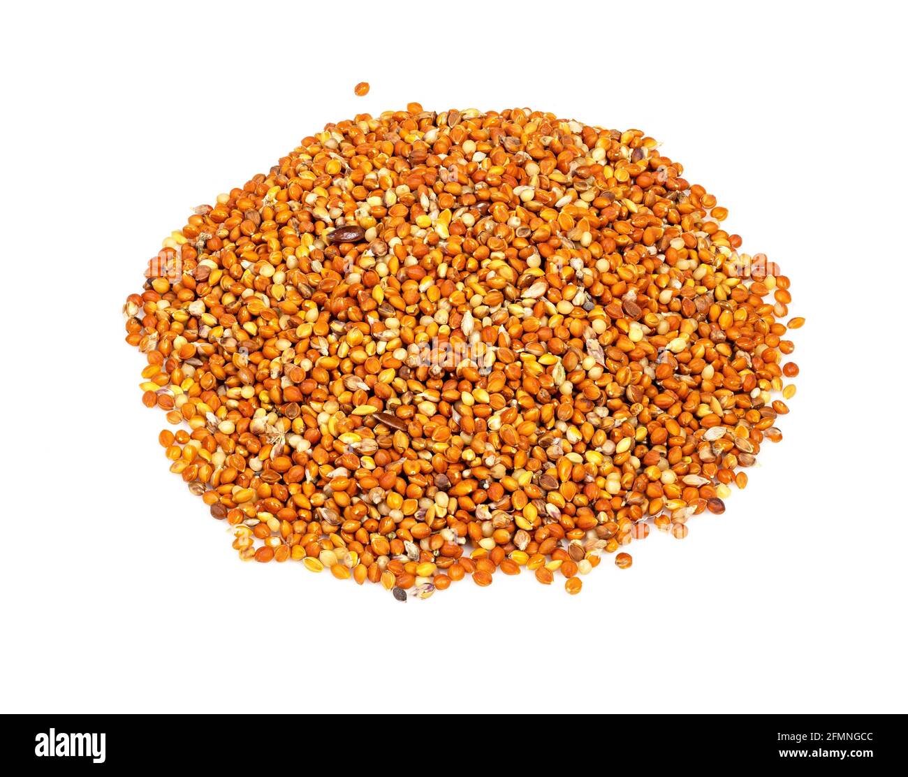 Details 39 background meaning in gujarati Abzlocal.mx