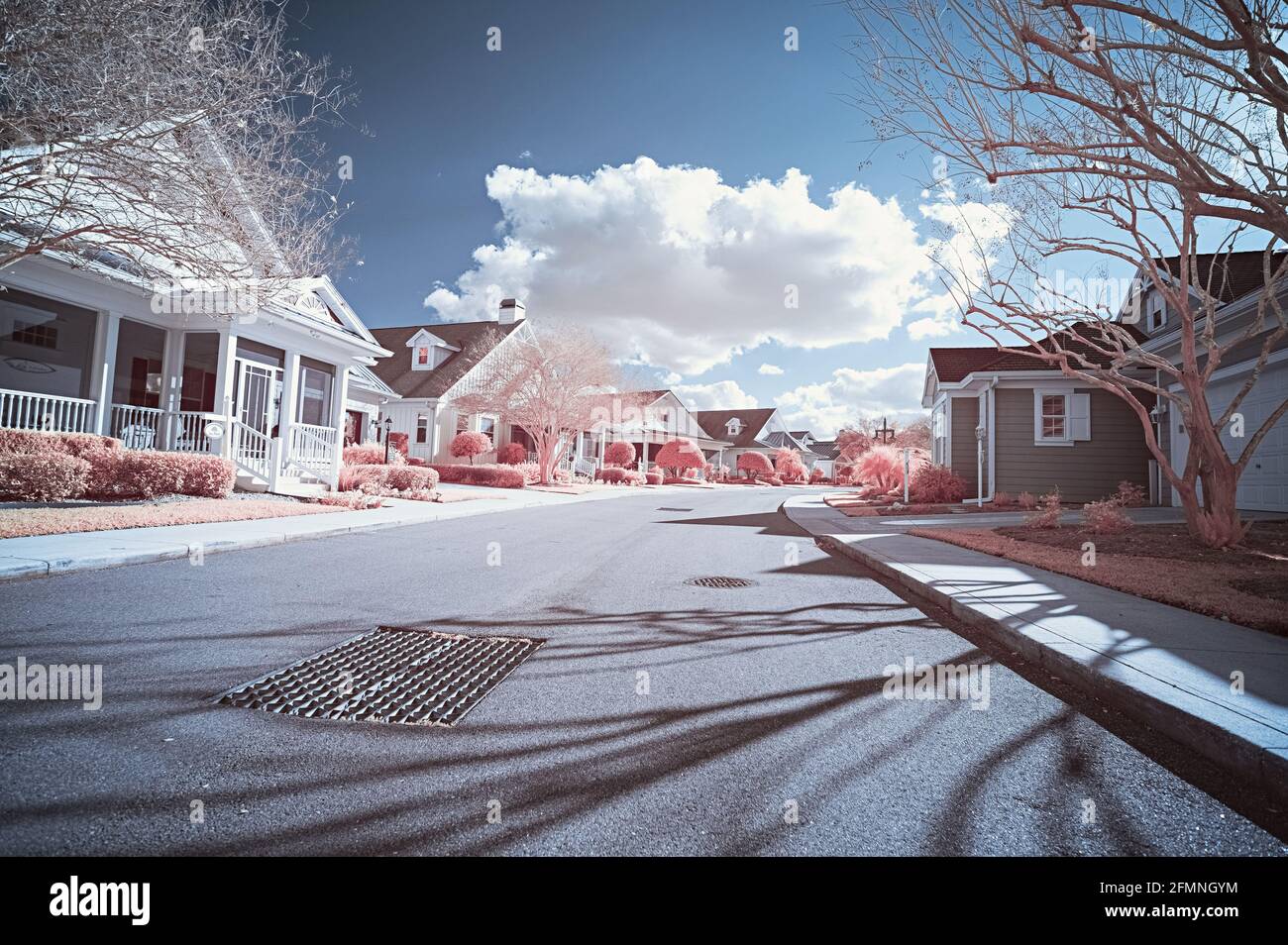 infrared photography! these are all outside of the visible spectrum of light! Stock Photo