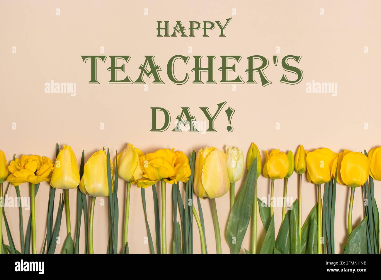 Horizontal greeting card with the inscription Happy Teachers Day on a beige background with yellow tulips. Stock Photo