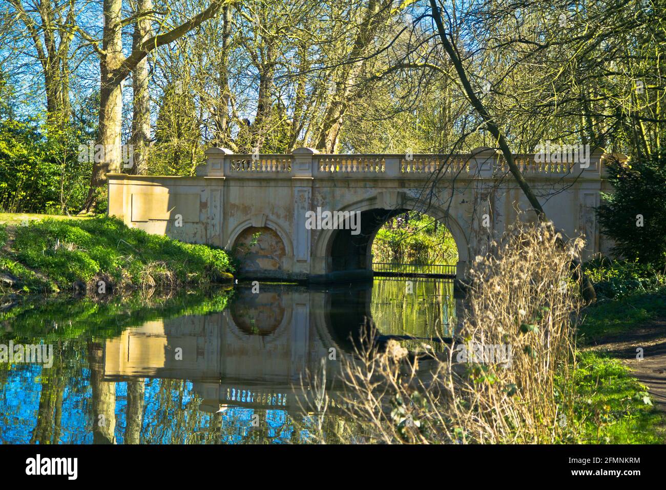 willow trees reflection, Spring in Upminster, Essex, England Stock Photo Alamy