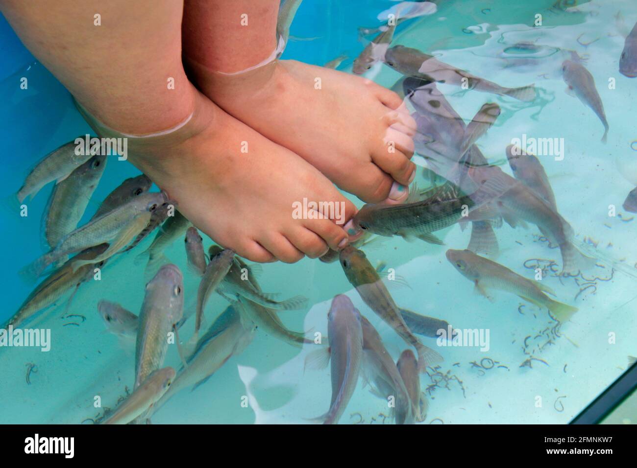 Feet in fish tank hi-res stock photography and images - Alamy