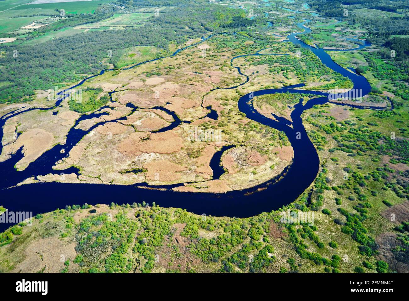 Aerial view of river floodplan and green forest in summer day. Bird eye view of beautiful nature landscape Stock Photo