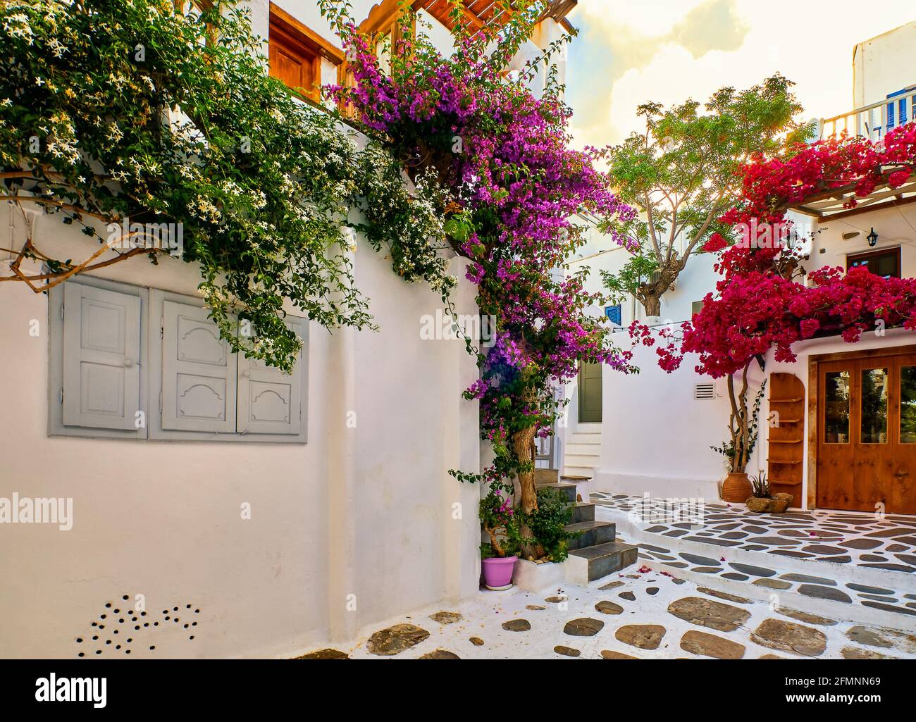 Beautiful traditional streets of Greek island towns. Whitewashed houses, rich bougainvillea in blossom, cobblestone pavement. Mykonos, Greece Stock Photo