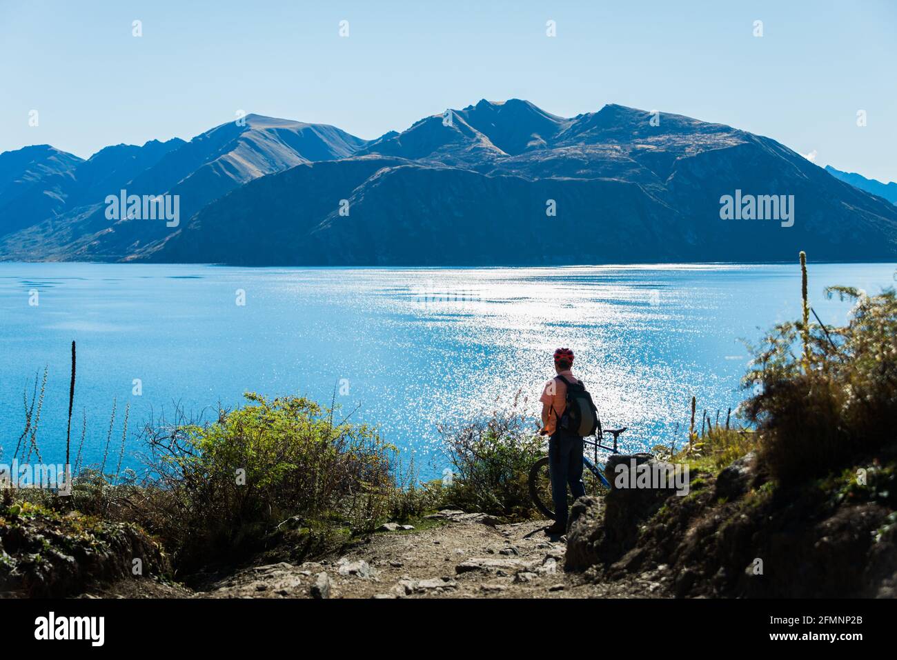 Cyclist standing with his bike enjoying the views of the Lake Wanaka on Glendhu Bay track, South Island. Stock Photo