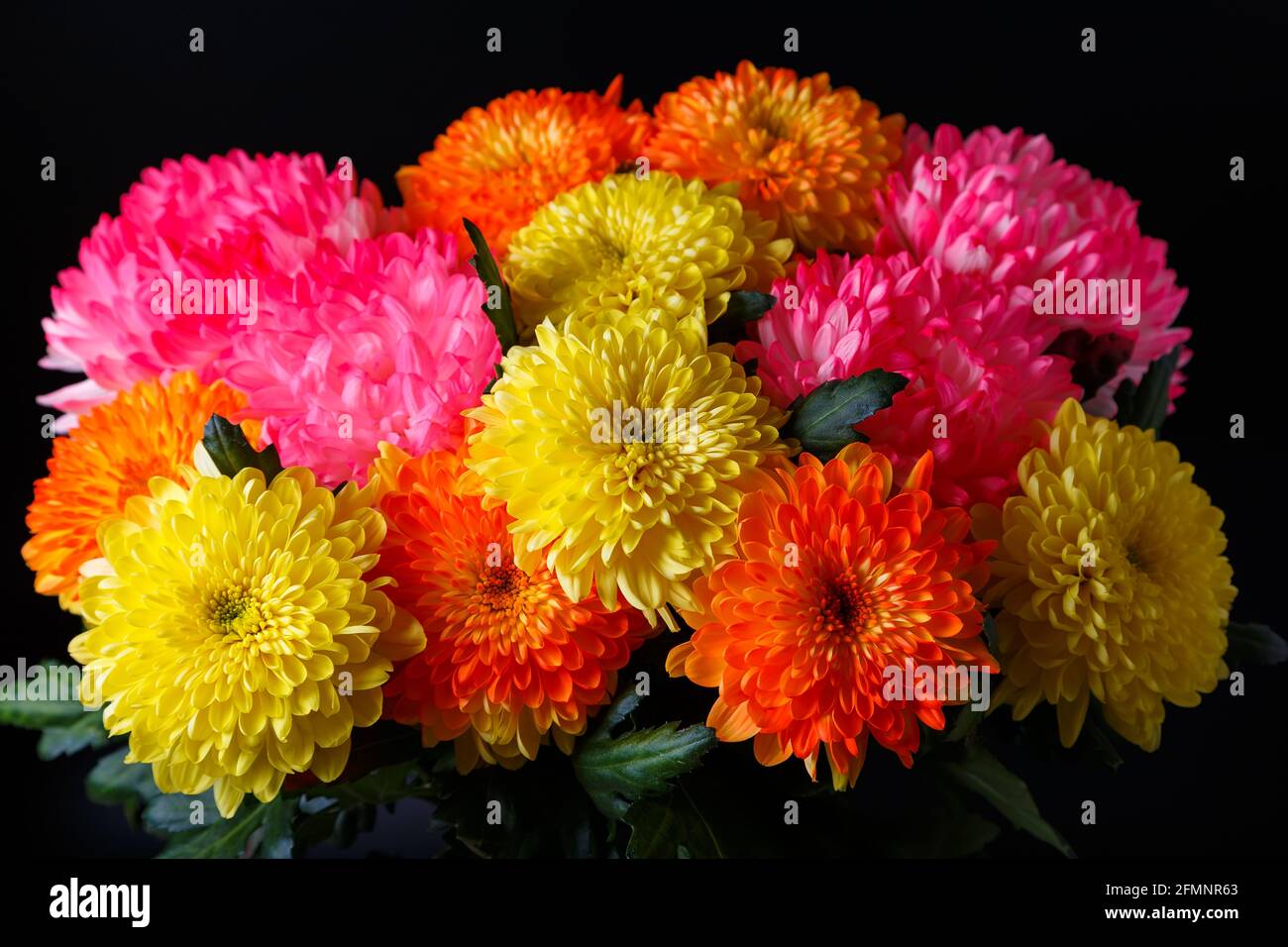 Beautiful bouquet of multi-colored colorful chrysanthemums on a black background. Yellow, orange, crimson flowers. Close-up. Stock Photo