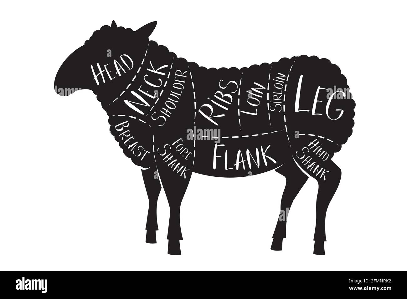 Butcher's guide - lamb - vector illustration Stock Vector