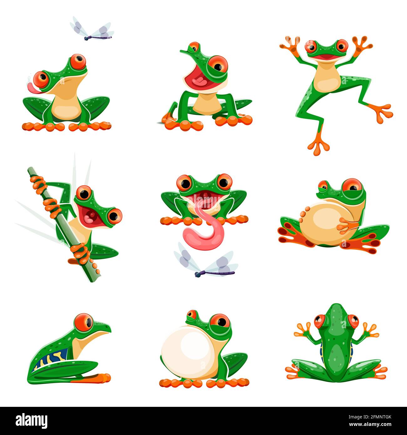 Funny frogs in various poses. Amphibian croaking, jumping, hunting, catching fly, smiling. Exotic tropical red-eyed tree frog. Wildlife animal cartoon vector set. Adorable bright creature Stock Vector