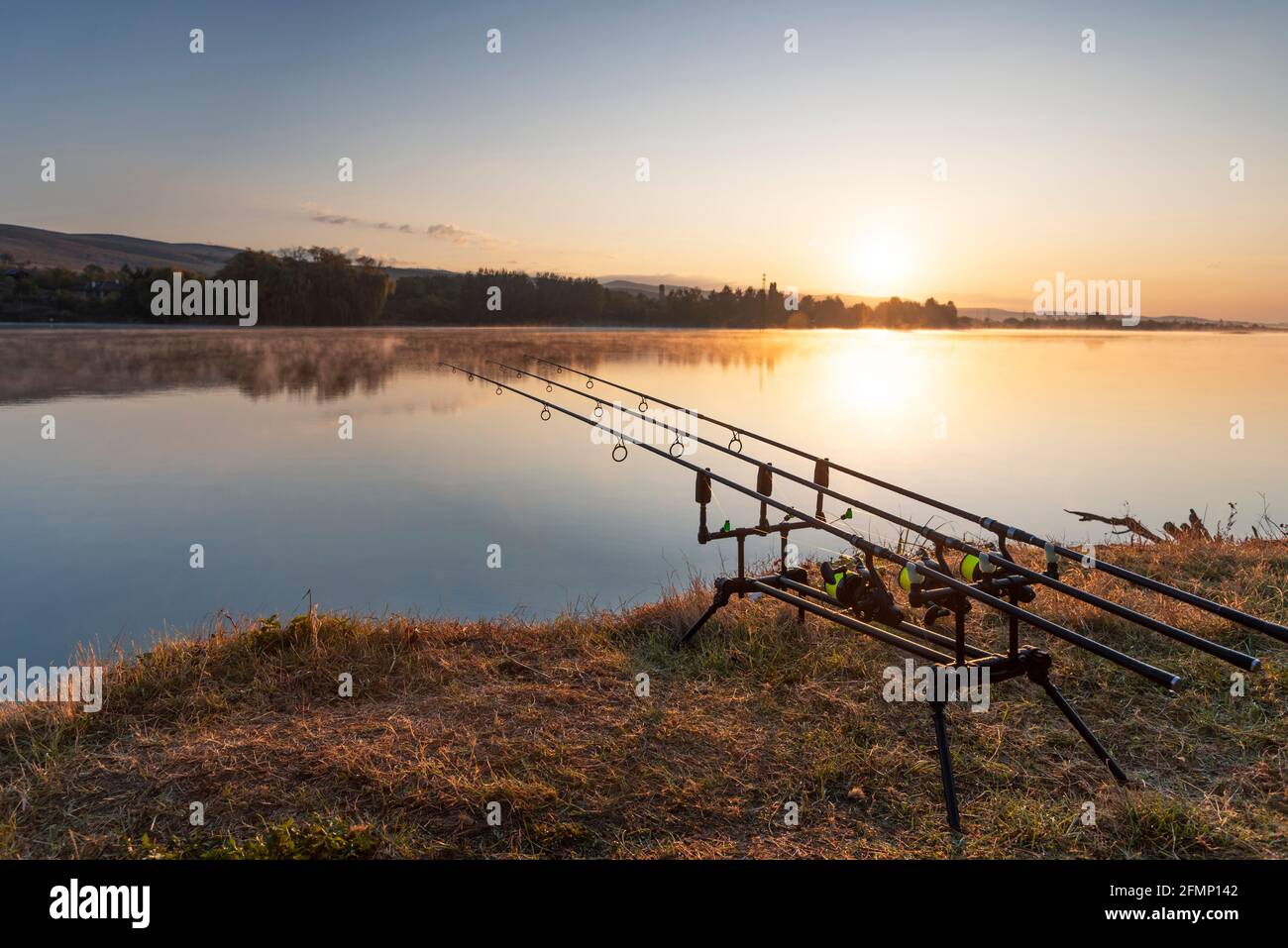 Fishing. Fishing rod on bite alarm. Carp fishing Stock Photo - Alamy