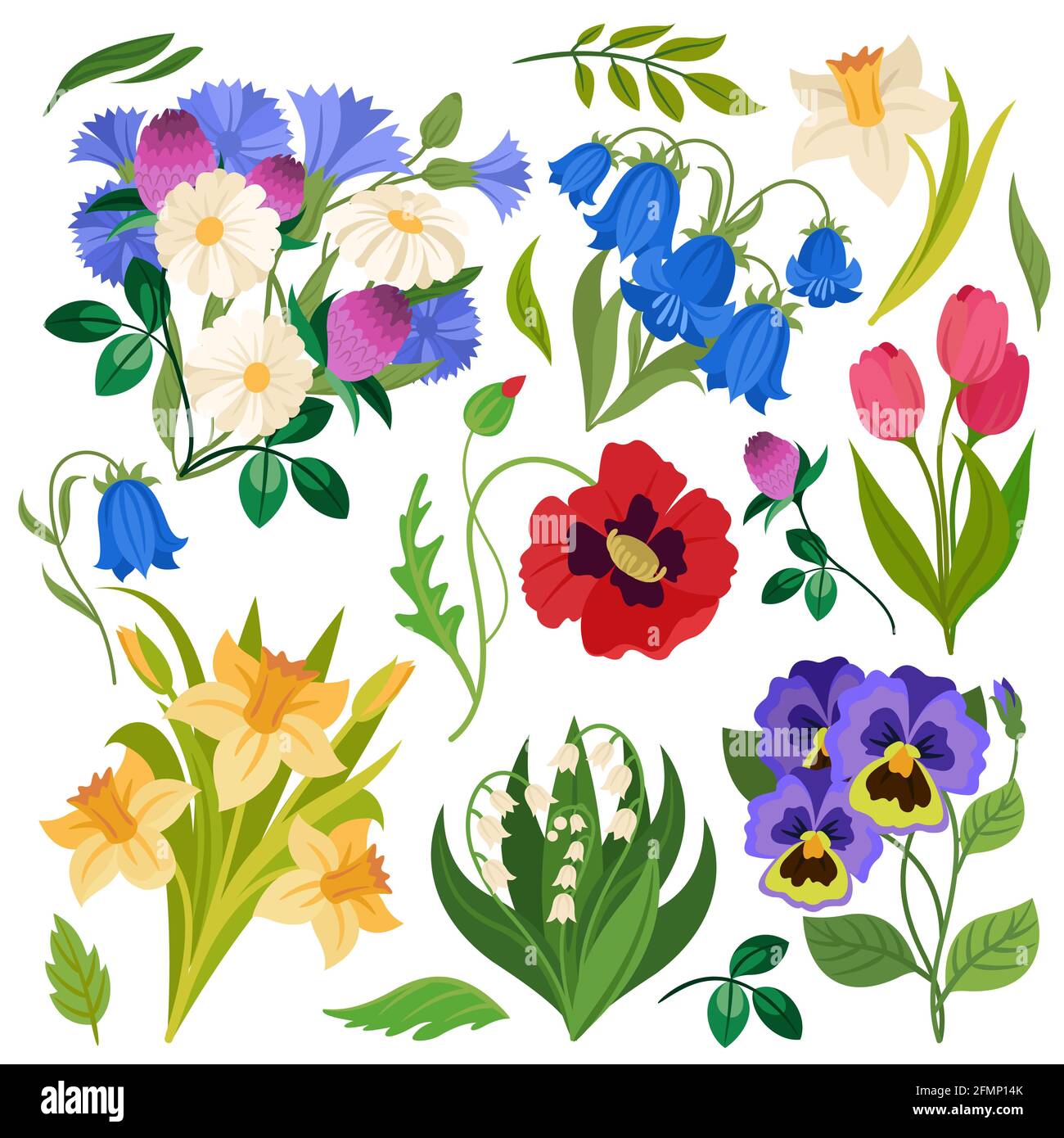 Flowers bouquet. Wildflowers meadow plants. Chamomile, clover and daffodil, poppy and lily of the valley, tulip and bellflowers isolated vector set. Spring or summer wild flora and herbs Stock Vector