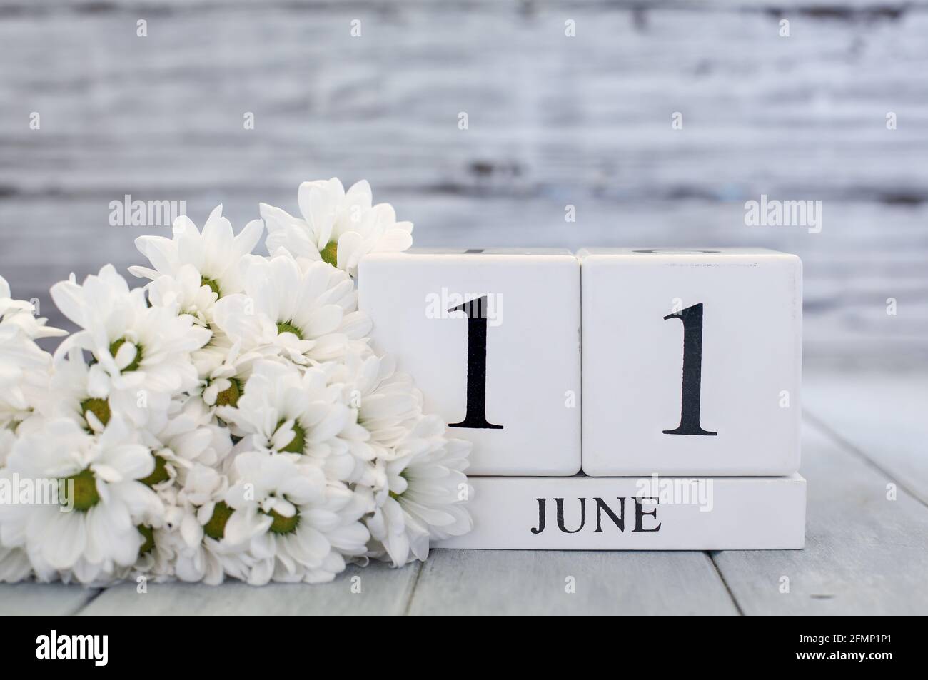 White wood calendar blocks with the date June 11th and white daisies. Selective focus with blurred background. Stock Photo