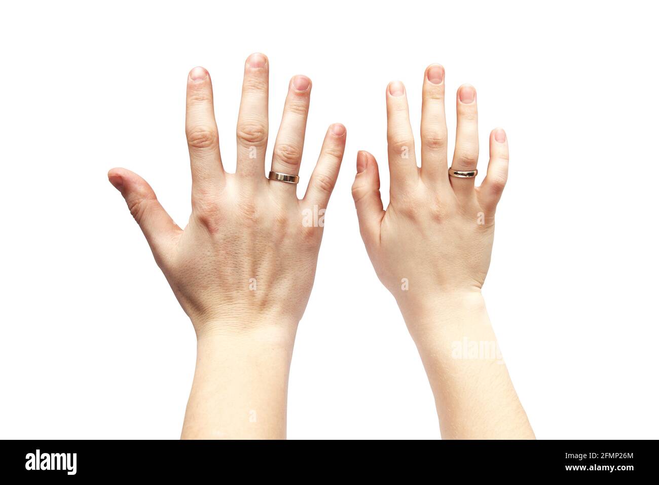 Hands on a white background. Male and female hand on a white background