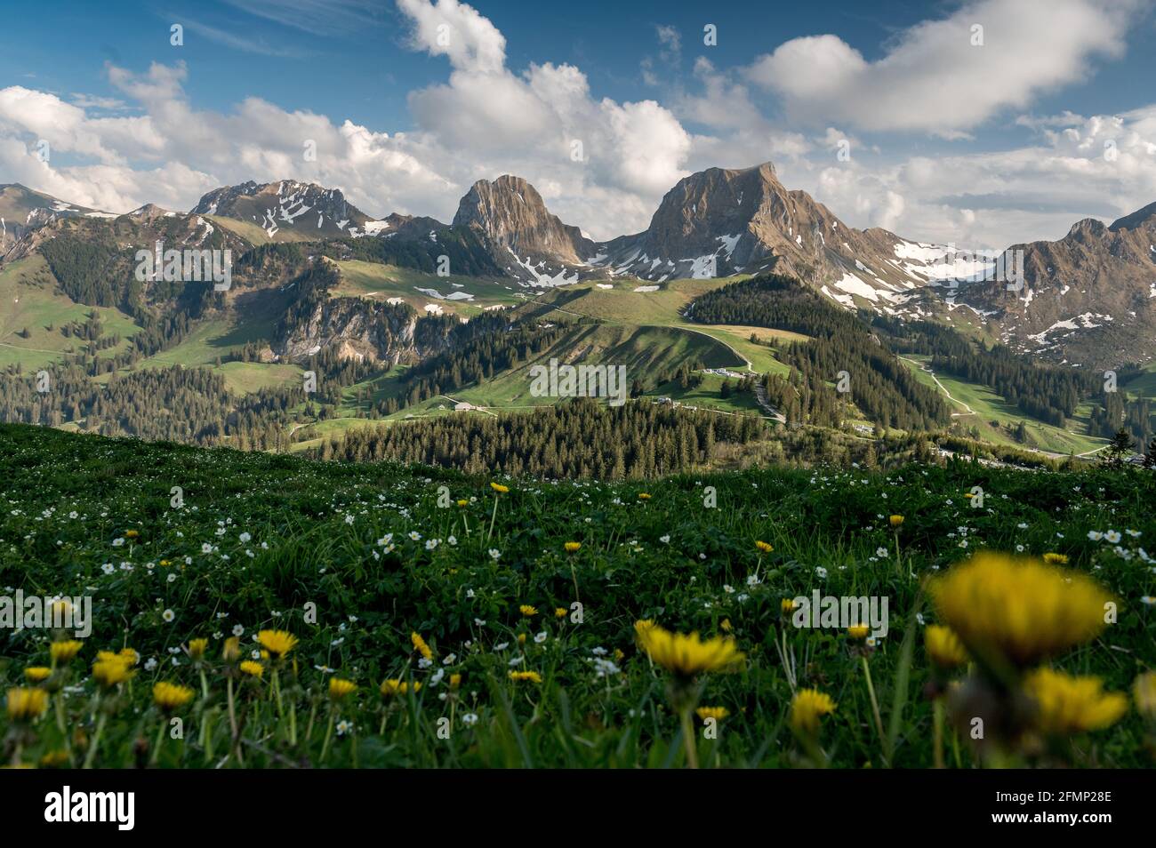 Gipfel des Gantrisch und Nüneneflue im Frühling Stock Photo