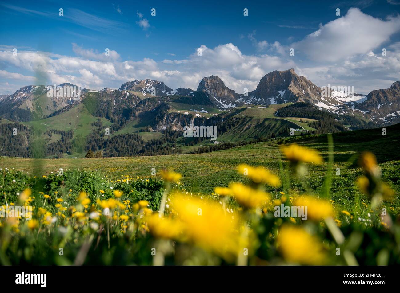 Gipfel des Gantrisch und Nüneneflue im Frühling Stock Photo