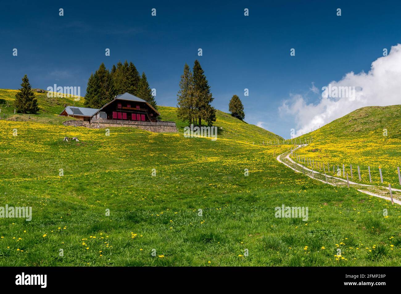 Berghaus in Blumenfeld beim Selibühl Stock Photo