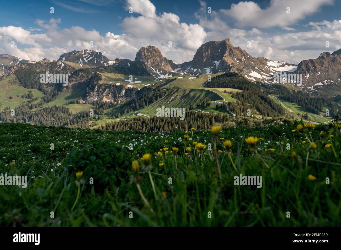 Gipfel des Gantrisch und Nüneneflue im Frühling Stock Photo