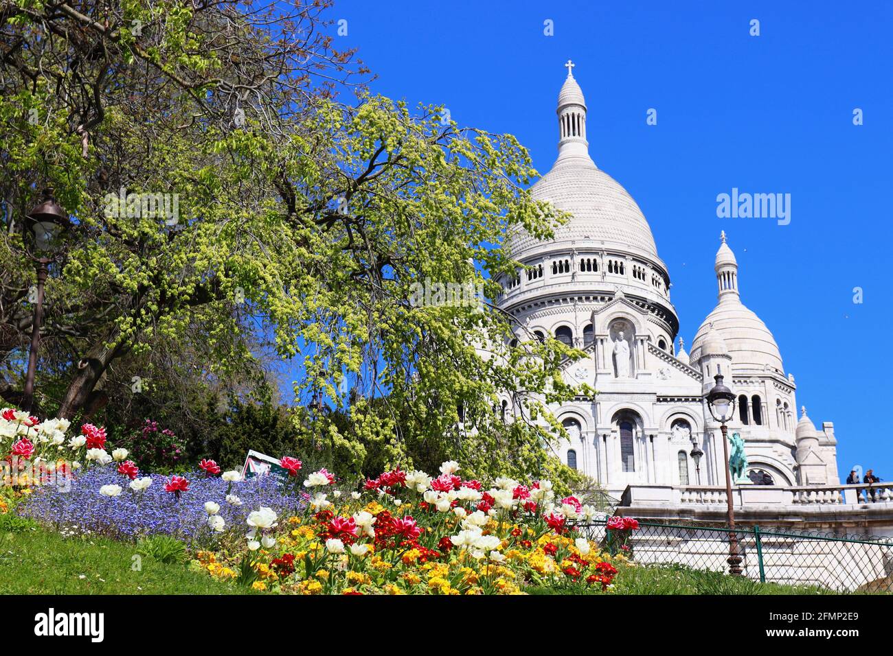 The Basilica of Sacré-Coeur de Montmartre (Sacred Heart Basilica) in Paris captured on a sunny spring day with colorful flowers in the foreground. Stock Photo