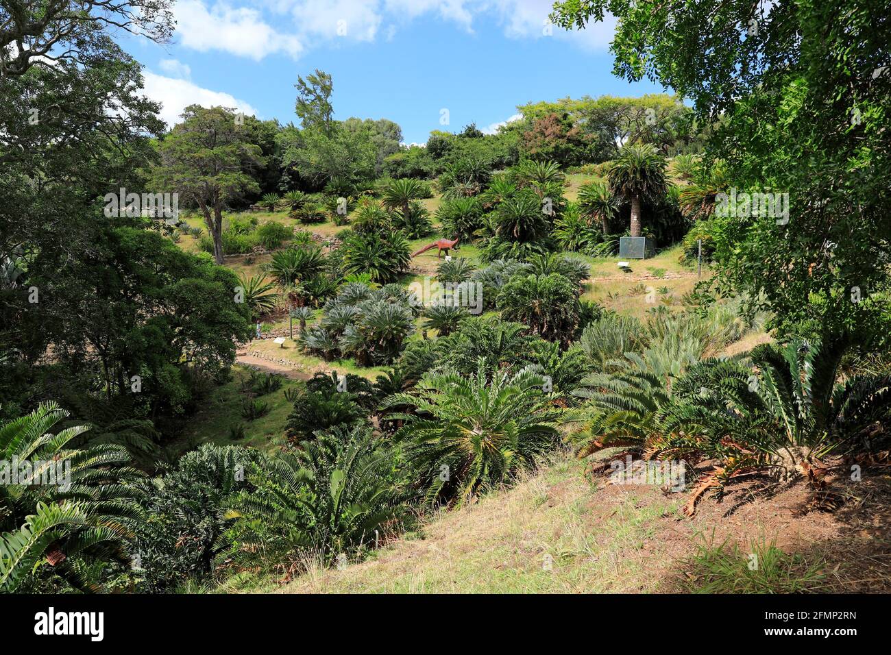 Kirstenbosch Botanical Gardens, Cape Town , South Africa. Stock Photo