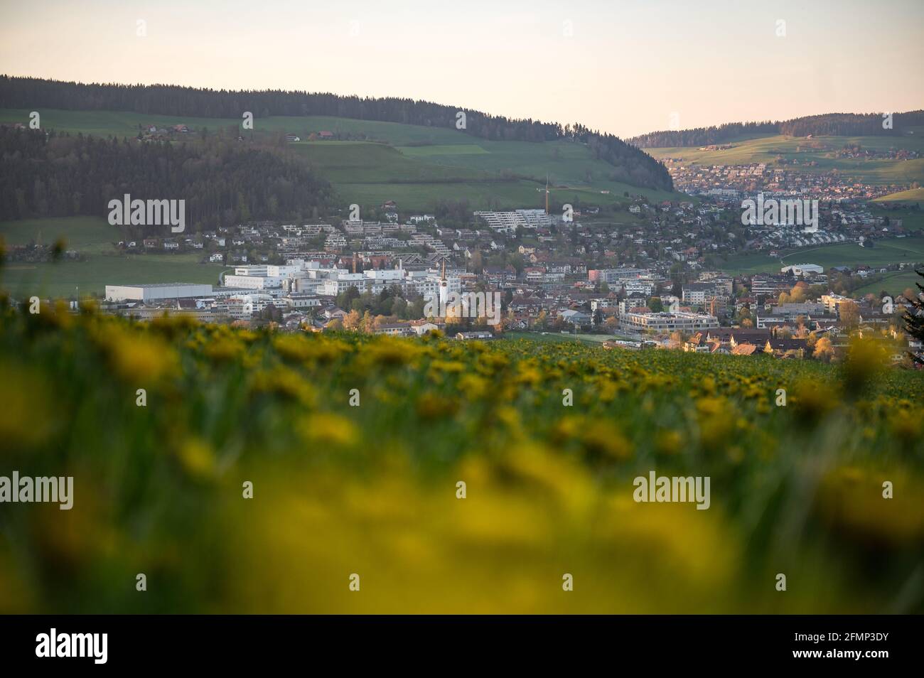 village of Konolfingen with a wildflower field in spring Stock Photo